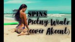 Spins - Psotny Wiatr (Cover Akcent)