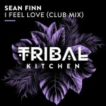 Sean Finn - I Feel Love (Club Mix)