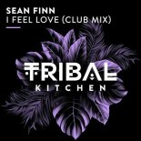 Sean Finn - I Feel Love (Extended Club Mix)