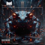 Kaufmann (DE) - Hit the Toad (Crescendoll Remix)