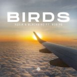 NONIK & Blackbird Feat. ROBINS - Birds (Extended Mix)