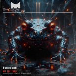Kaufmann (DE) - Hit the Toad