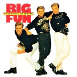 Big Fun - Why Did You Break My Heart