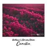 Betibwe & DreamSkies - Camellia (Intro Mix)