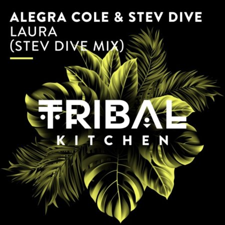 Alegra Cole, Stev Dive - Laura (Stev Dive Mix)