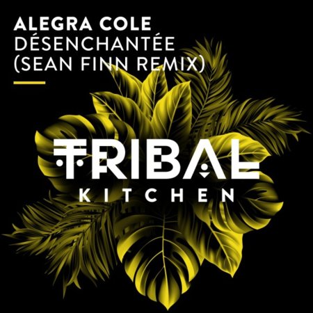 Alegra Cole - Désenchantée (Sean Finn Remix)