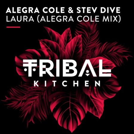 Alegra Cole, Stev Dive - Laura (Alegra Cole Mix)