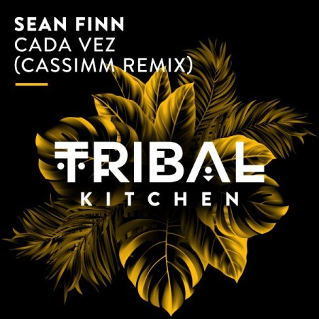 Sean Finn - Cada Vez (Extended Ultimix by DJSW Productions 2025 CASSIMM Club Edit) 128 bpm