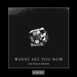 Luca Testa and DJ SERGIO SM - Where Are You Now (Techno Remix)