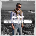 Akcent - Now You're Gone