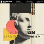 AUDIOMAN - Life In Colours (Original Mix)