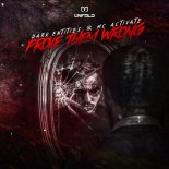 Dark Entities & MC Activate - PROVE THEM WRONG (Extended Mix)