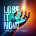 Toni Del Gardo & Falko Niestolik - Lose It Now (Toni Del Gardo & Falko Niestolik)