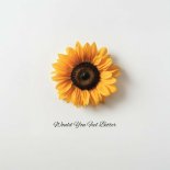 D S D - Would You Feel Better