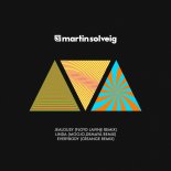 Martin Solveig - Jealousy (Floyd Lavine Remix)