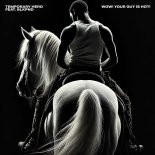 Temporary Hero Feat. BLKPND - WOW! YOUR GUY IS HOT! (There Is No One But Me Remix)