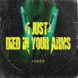 2SHER - (I Just) Died In Your Arms