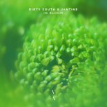 Dirty South & Jantine - In Bloom