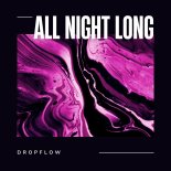 DropFlow - All Night Long