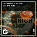 Richard Grey, David Harris - Feel the Vibe