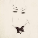 MARINA - Butterfly
