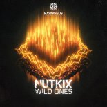 Nutkix - Wild Ones (Extended Mix)