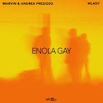 Marvin & Andrea Prezioso x Wlady - Enola Gay (Extended Mix)