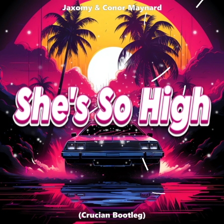 Jaxomy & Conor Maynard - She's So High (Crucian Bootleg)