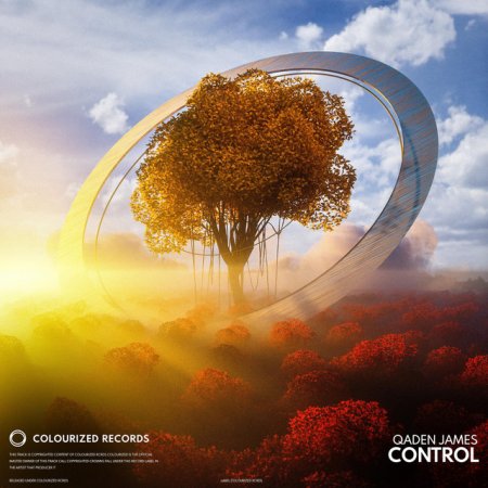 Qaden James - Control