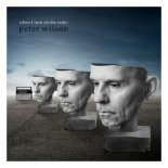Peter Wilson - When I Turn on the Radio (Radio Edit)