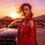 PLVTINA, SAGI & no4ipoka - MEDINA (Original Mix)