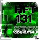 Maickel Telussa, Sentinel Groove - Aciid Is Heating Up
