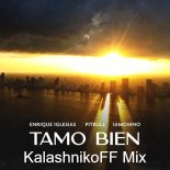 Enrique Iglesias & Pitbull & IAmChino - Tamo Bien (KalashnikoFF Mix)