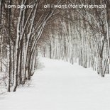All I Want (For Christmas) (The Three Musketeers Bootleg).wav