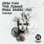 Sean Finn, Tom Franke, Mark James (AU) - Elevate (Extended Mix)