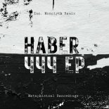 Haber (Arg) - 444 (Original Mix)