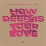 KRCP & Murilo Pittner - How Deep Is Your Love (Extended Mix)