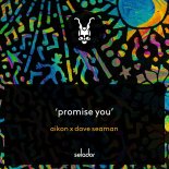 Dave Seaman, AIKON - Promise You (Original Mix)