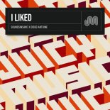 Diego Antoine, Soundsinsane - I Liked (Extended Mix)