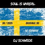 DJ Schwede - Soul Is Unreal (Original Version)