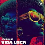 Joc house - Vida Loca (Afro Latin Mix)
