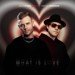 Kolya Funk, Matvey Emerson - What Is Love (Ownbass Remix)