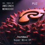 TechDeeJ - Super Mind (Monococ Remix)