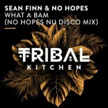 Sean Finn - What a Bam (No Hopes Nu Disco Extended Mix)