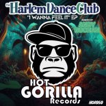 Harlem Dance Club - I Wanna Feel It (Extended Mix)