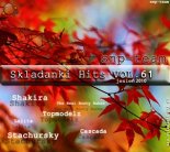 16 Shakira  - Loca (Freemasons Radio Edit)(By Djohnny)