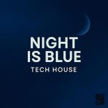 RezTheCat - Night Is Blue (Original Mix)