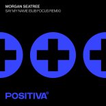 Morgan Seatree - Say My Name (Sub Focus Remix)