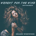 Chase Winwood - Weren't for the Wind (Drum Beats Drumbeats Mix 152 BPM)