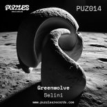 Greenwolve - Selini (Original Mix)